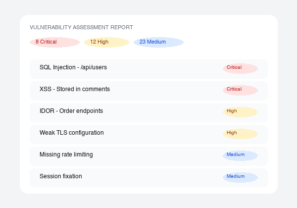 Penetration test vulnerability report